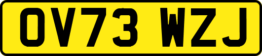 OV73WZJ