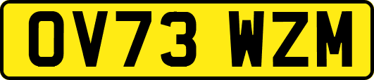 OV73WZM