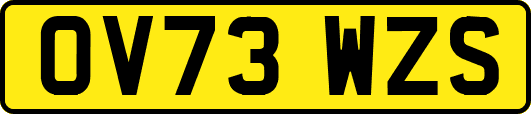 OV73WZS