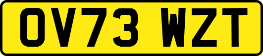 OV73WZT