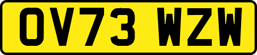 OV73WZW