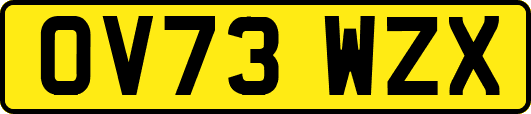 OV73WZX