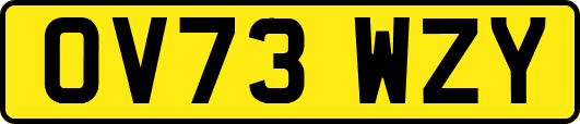 OV73WZY