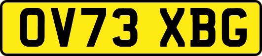OV73XBG