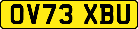 OV73XBU