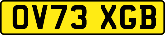 OV73XGB