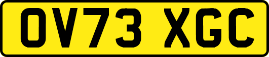 OV73XGC