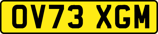 OV73XGM