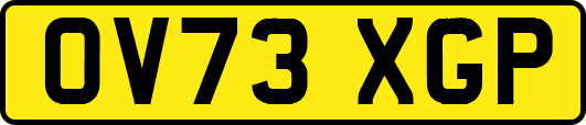 OV73XGP