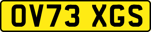 OV73XGS