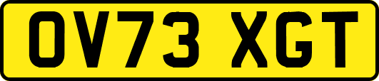 OV73XGT