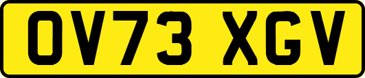 OV73XGV