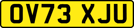 OV73XJU