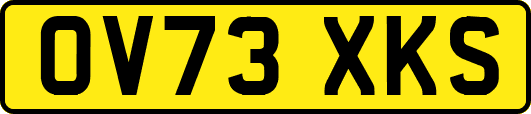 OV73XKS