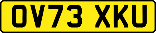 OV73XKU