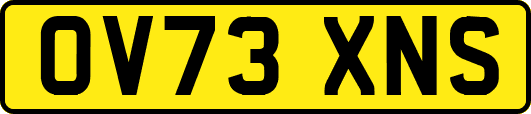 OV73XNS