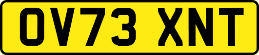 OV73XNT