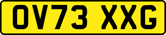 OV73XXG