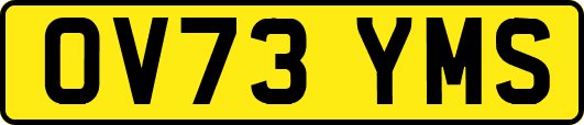 OV73YMS