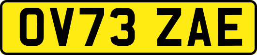 OV73ZAE