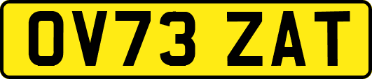 OV73ZAT