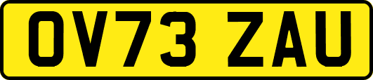 OV73ZAU