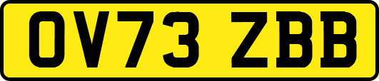 OV73ZBB