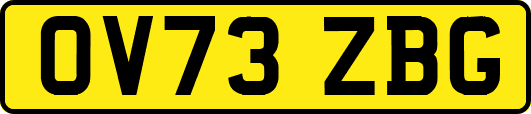 OV73ZBG