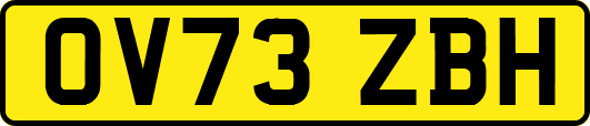OV73ZBH