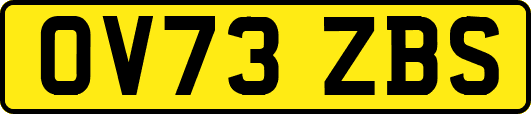 OV73ZBS