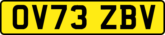 OV73ZBV