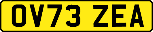 OV73ZEA