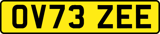 OV73ZEE