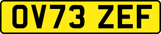 OV73ZEF