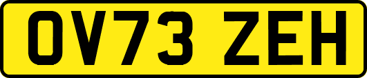OV73ZEH