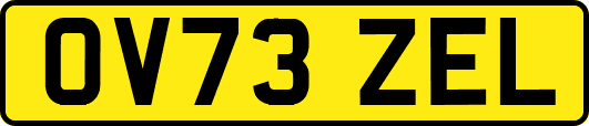 OV73ZEL