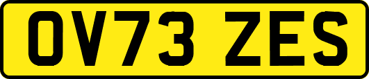 OV73ZES