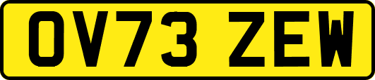 OV73ZEW