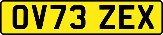OV73ZEX