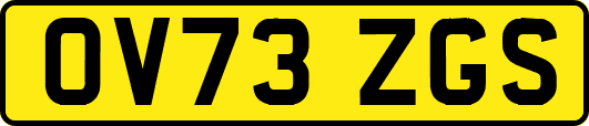 OV73ZGS