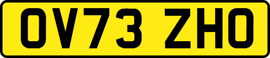 OV73ZHO
