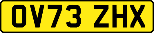 OV73ZHX