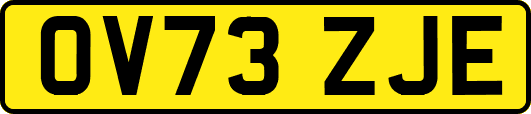 OV73ZJE
