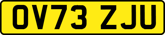OV73ZJU