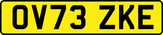 OV73ZKE