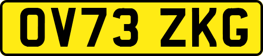 OV73ZKG