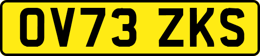 OV73ZKS
