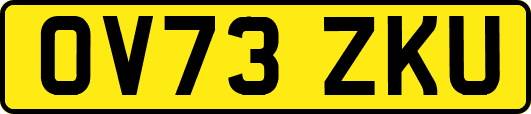 OV73ZKU