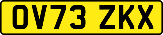 OV73ZKX