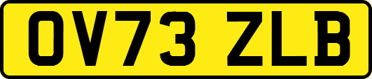 OV73ZLB